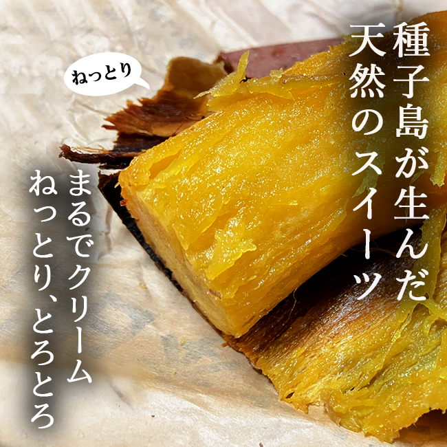 安納芋 種子島 5kg 安納こがね 4s 無農薬 送料無料 幻の芋 安納