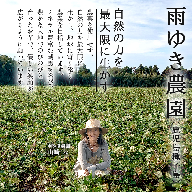 安納芋 種子島 5kg 安納こがね 4s 無農薬 送料無料 幻の芋 安納
