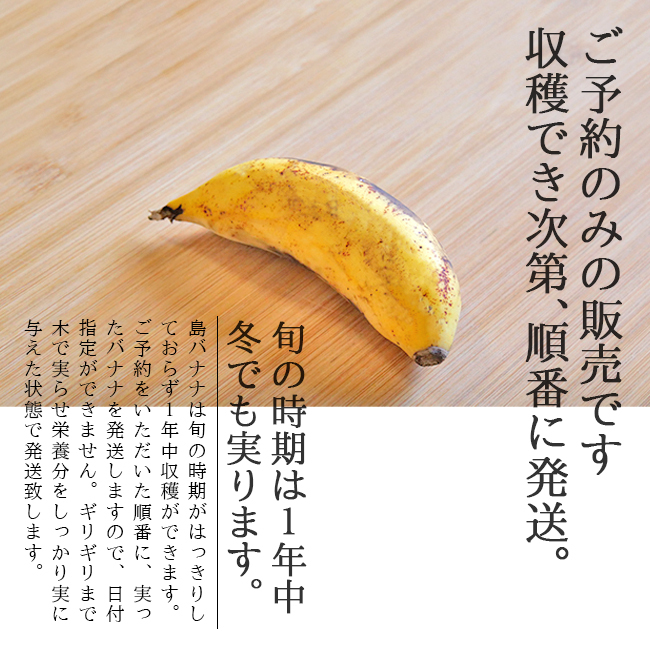 島バナナ（国産バナナ）