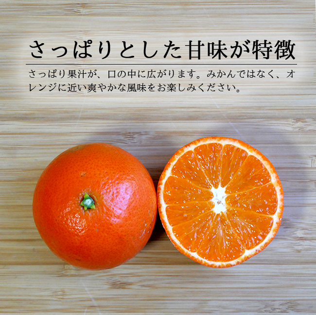 みはや みかん 2kg 無農薬 和歌山 農家直送 みはやオレンジ 柑橘 