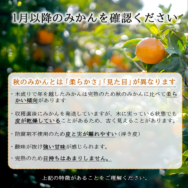 無農薬 みかん 10kg 送料無料 ミカン 和歌山 農園直送 ノーワックス