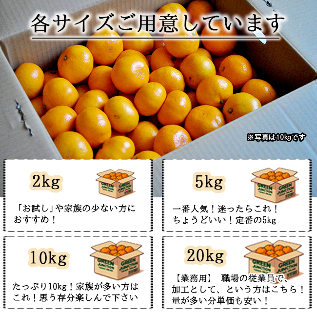 無農薬 みかん 5kg 送料無料 ミカン 和歌山 農園直送 ノーワックス