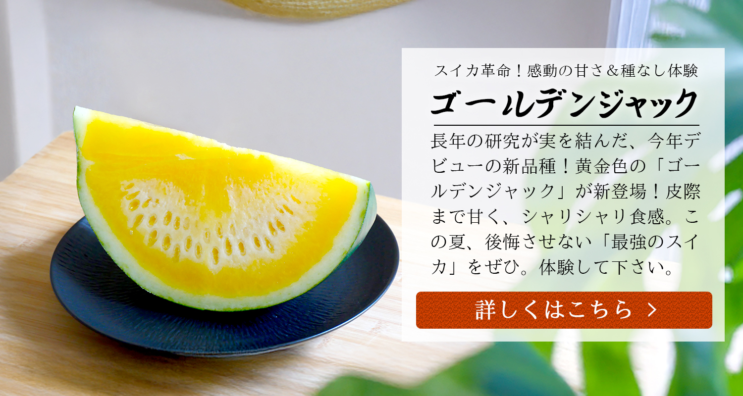 農家直送　訳あり　アンコール10キロ 堆肥生産販売 - 株式会社小野ファーム
