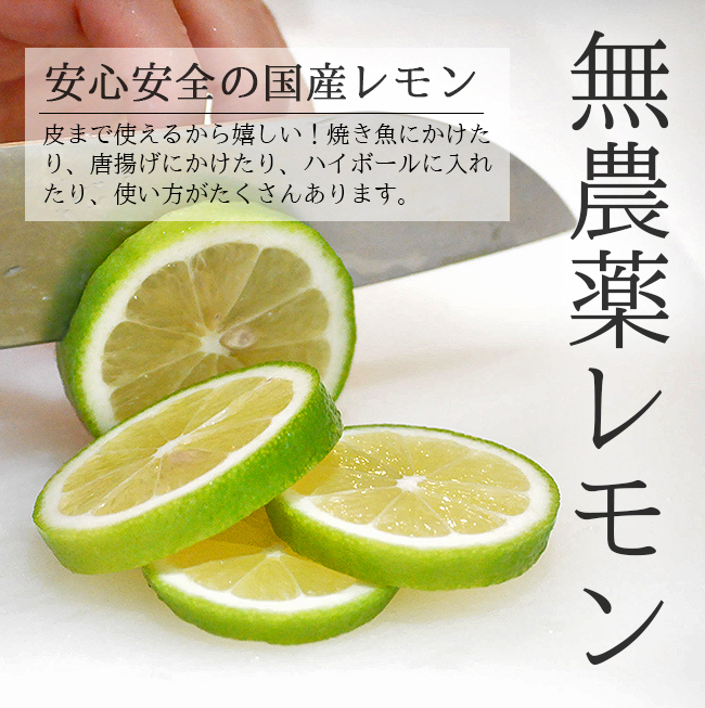 レモン 無農薬 国産 2kg 送料無料 グリーンレモン 青レモン 無農薬レモン ノーワックス 有機栽培 和歌山産 レモン酢 塩レモン 産地直送  グリーンジャンクション : grenlemon-gj-2k : 農家直送フルーツ ときわオンライン - 通販 - Yahoo!ショッピング