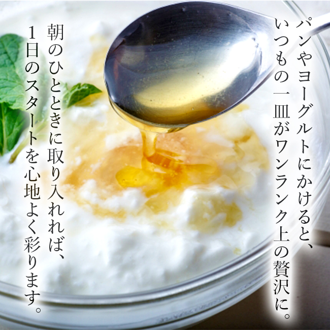 日本蜜蜂の天然ハチミツ　無添加　内容量５００g × 6本 楽天市場】【最大1000円OFFクーポン！8/13〜8/17】楽天