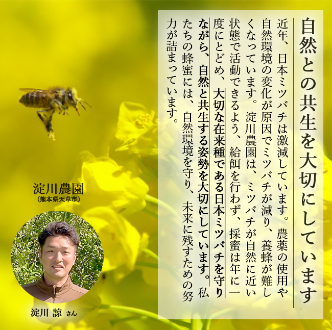 はちみつ 蜂蜜 国産 1瓶(120g) オーガニック 非加熱 天然 無添加