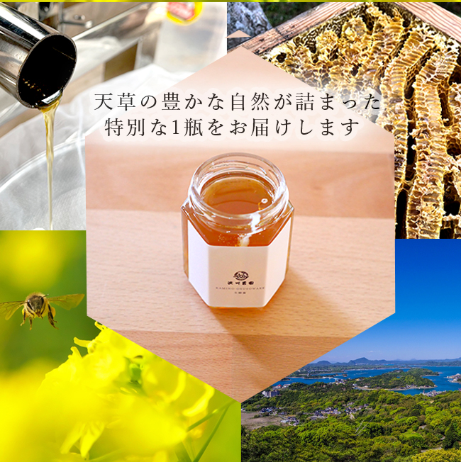 蜂蜜（日本蜜蜂1,1.kg×2本） 楽天市場】【ふるさと納税】【TV番組で紹介されました】日本