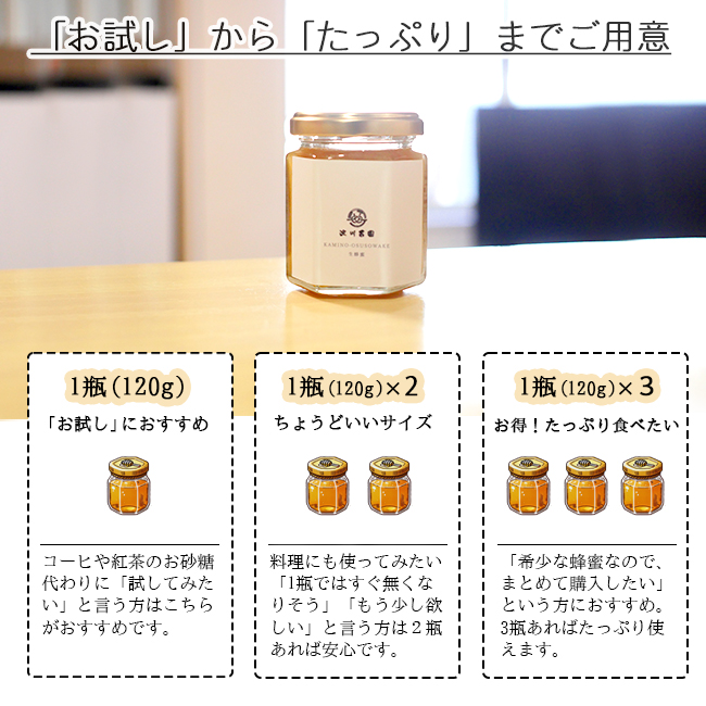 お徳用 日本ミツバチ  蜂蜜(570×3本) kad-ty-nh50-1.jpg
