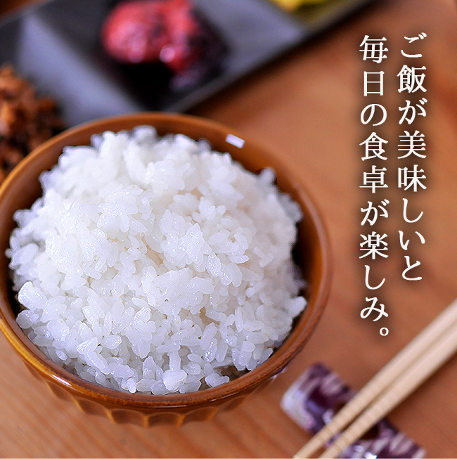 米 新潟 30kg 農家直送 従来コシヒカリ 減農薬 特別栽培 西村果樹