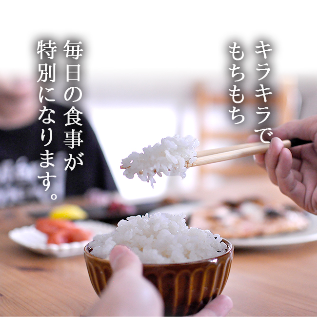 米 新潟 30kg 農家直送 従来コシヒカリ 減農薬 特別栽培 西村果樹