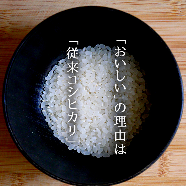 米 新潟 30kg 農家直送 従来コシヒカリ 減農薬 特別栽培 西村果樹