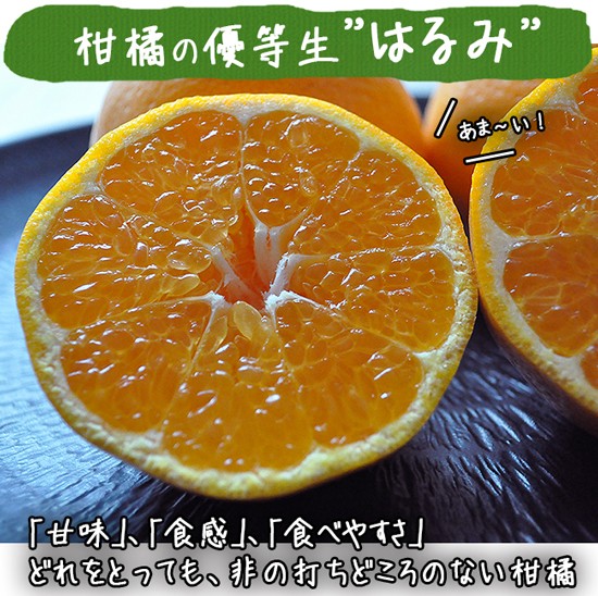 和歌山県産 はるみ 15キロ 和歌山県産 はるみ 15キロ 楽天市場】はるみ みかん 訳あり 4Kg 送料