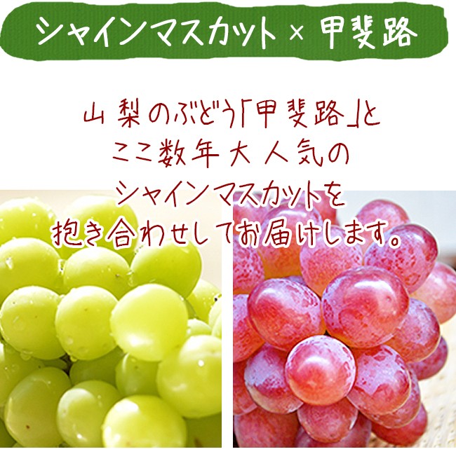 甲斐路 シャインマスカット 抱き合わせ 2房入り 約1kg 送料無料 種なし