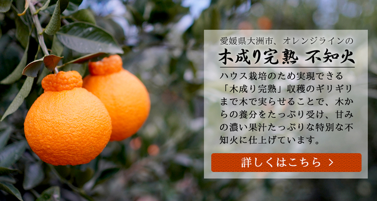 農家直送フルーツ ときわオンライン - Yahoo!ショッピング