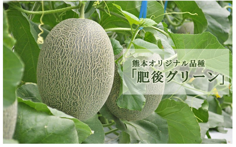 送料込】メロン と 花咲く いちご セット いちご メロン 白
