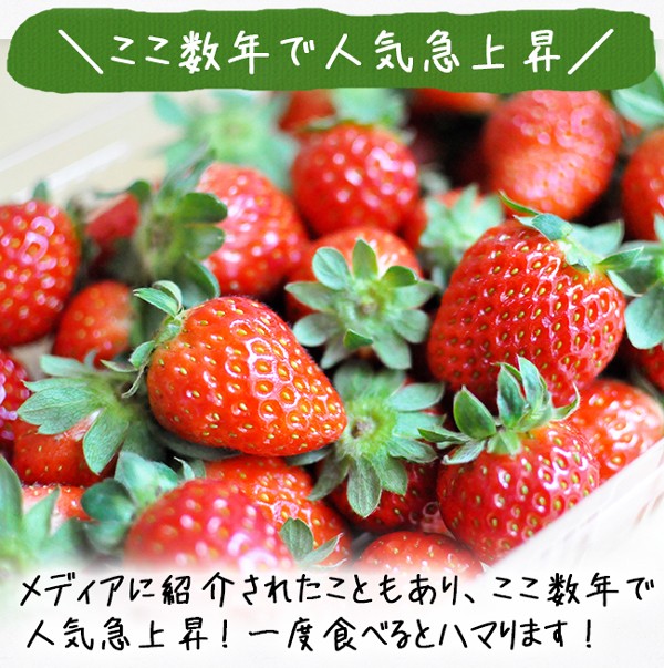 まりひめ いちご(箱込み約700g×2) 特大 18日発送 苺 イチゴ まりひめ いちご(約700g) 1週間以内に順次発送 苺 イチゴ - メルカリ
