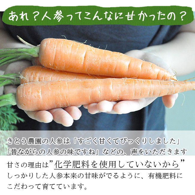 無農薬 にんじん 葉付き人参 送料無料 3kg 人参ジュース 無農薬ニンジン 西日本 葉付 静岡産 産地直送 農家直送 Kito Ninjin 3k 果物のときわオンライン 通販 Yahoo ショッピング