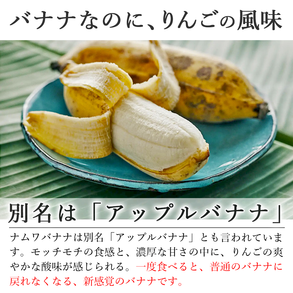 バナナ 国産 無農薬