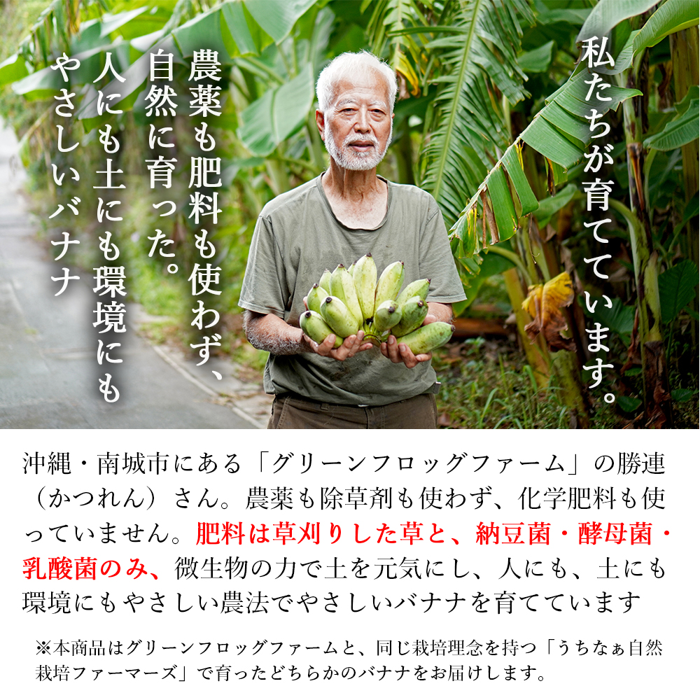 バナナ 国産 無農薬