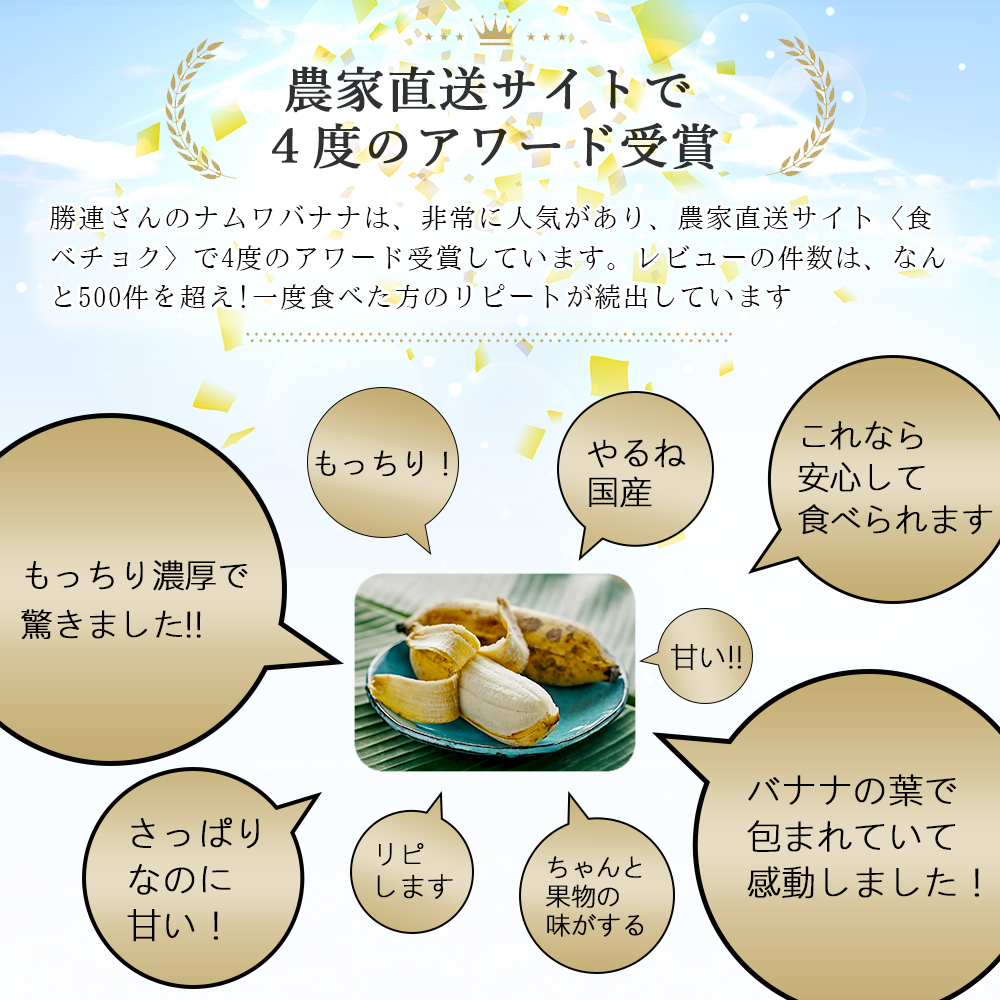 バナナ 国産 無農薬