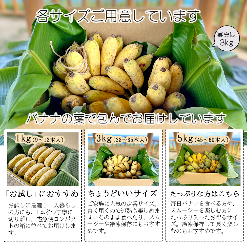 バナナ 国産 無農薬