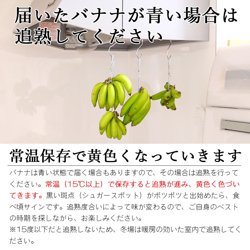 バナナ 国産 無農薬