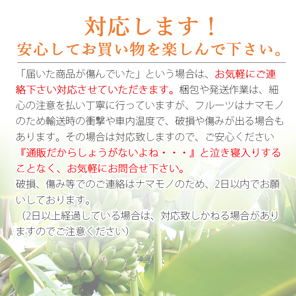 バナナ 国産 無農薬