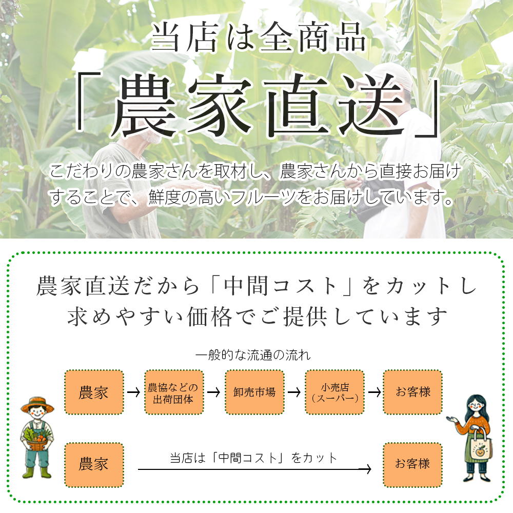 バナナ 国産 無農薬