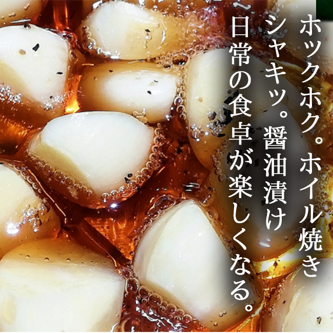 ジャンボにんにく 5kg 無農薬 匂いが少ない 無臭にんにく 長崎 平戸