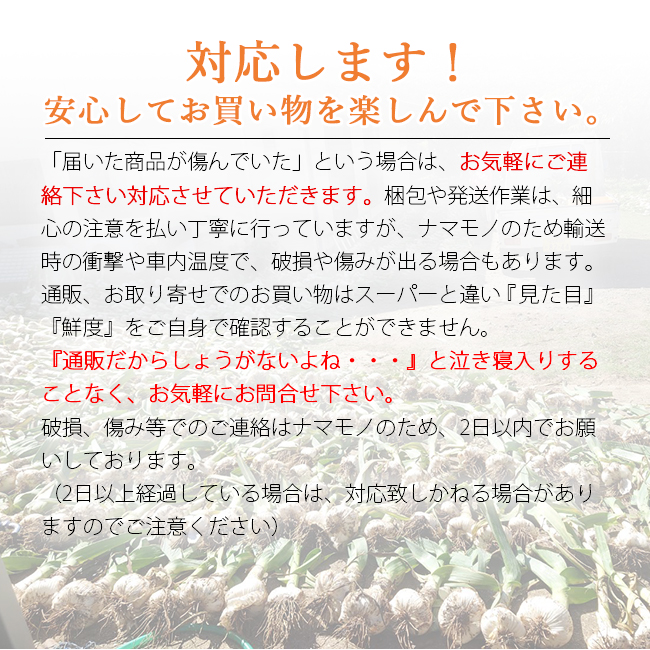 ジャンボにんにく 5kg 無農薬 匂いが少ない 無臭にんにく 長崎 平戸