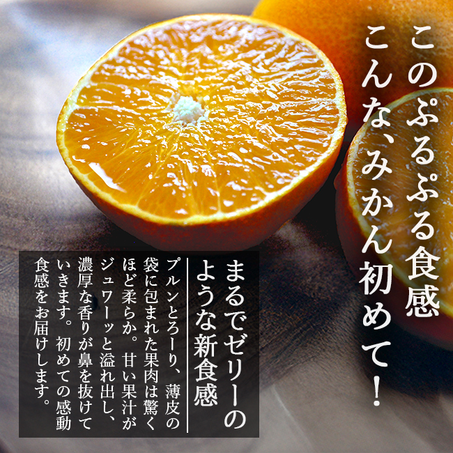 まどんな 5kg 家庭用 訳あり 愛媛果試第28号 みかん 紅まどんな 同品種