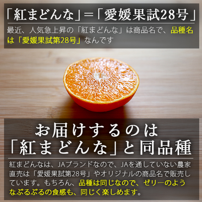 まどんな 5kg 家庭用 訳あり 愛媛果試第28号 みかん 紅まどんな 同品種