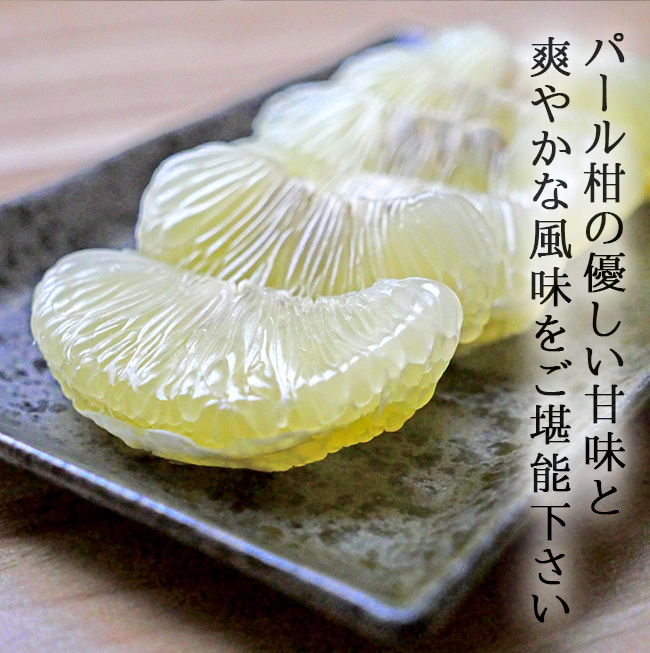 食品 あめぴ様専用パール柑L20kg