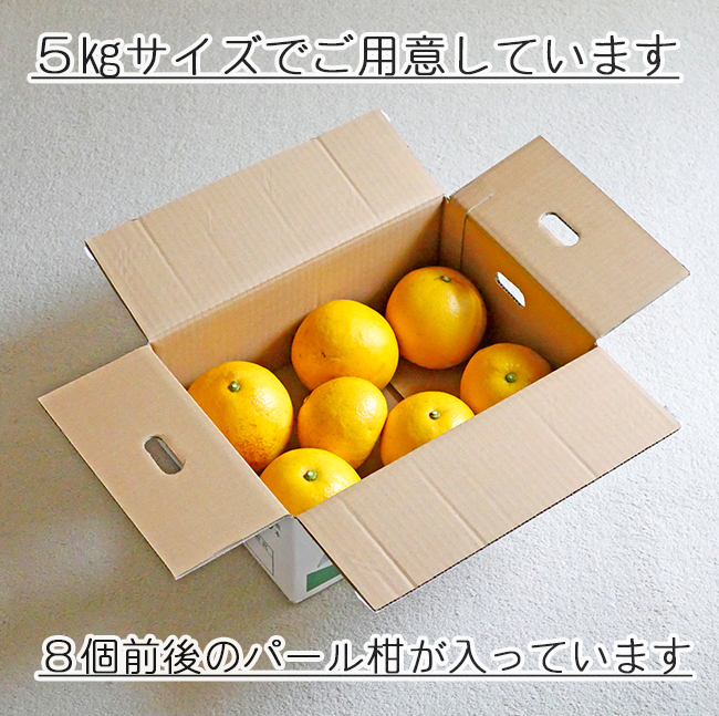 パール柑 5kg 無農薬 自然栽培 淀川農園 熊本 天草 : 農家直送フルーツ