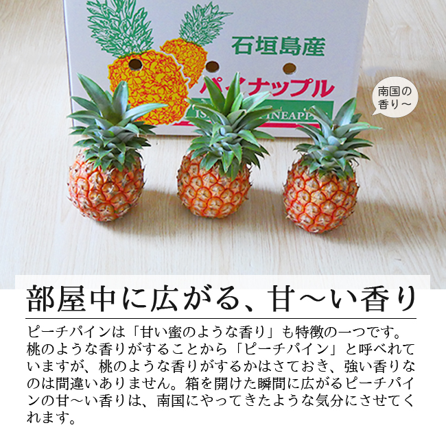 誠実 ケレス沖縄 石垣島産パイナップルジャム 200g ×2個