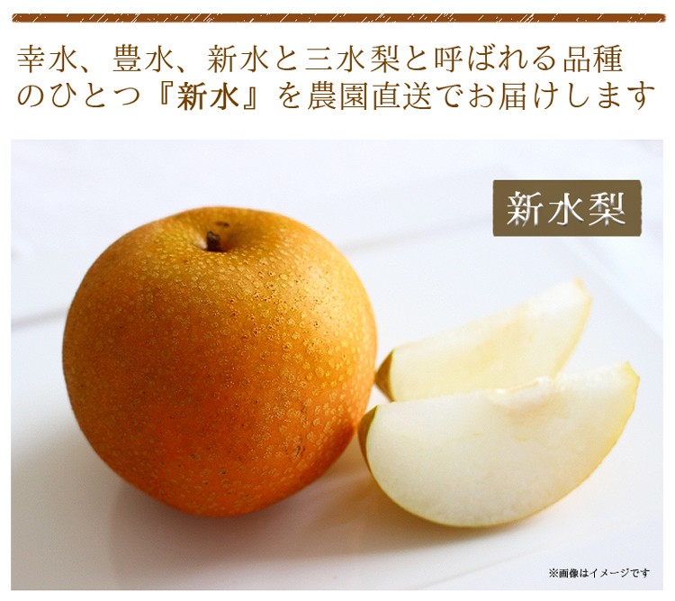 新水梨 2kg 梨 果物 ギフト 送料無料 贈答 お中元 夏の梨 新水