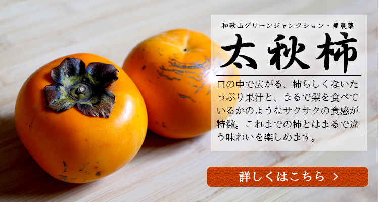 農家直送　13600円！ 成城石井はじめてBOX＃2】【C】セントラルキッチン直送便！成城