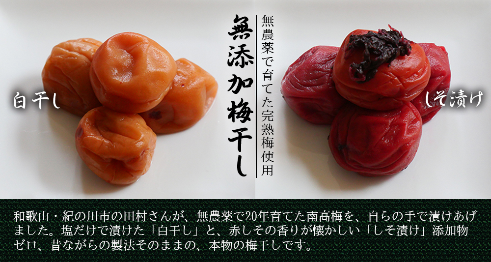 農家直送フルーツ ときわオンライン - Yahoo!ショッピング