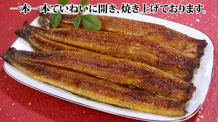 うなぎ蒲焼き