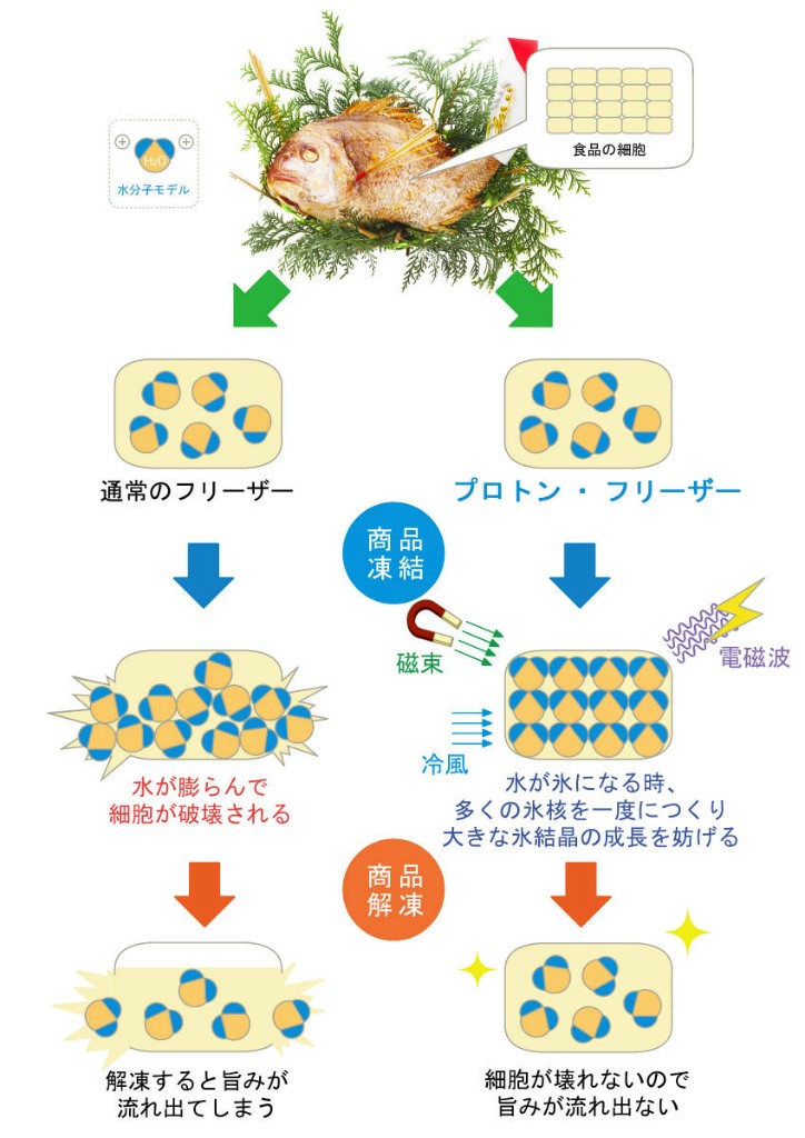 プロトン02