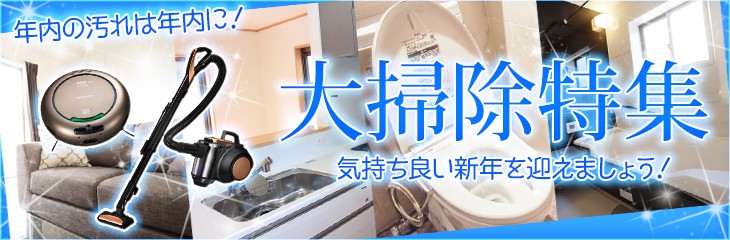 ♥特価♥✨美品✨置型掃除機　ダストスイーパー ダストスイーパーNEO 掃除機 置き型 クリーナー Dust Sweeper 便利