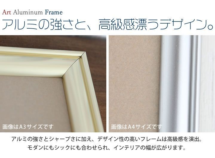 B2サイズ 515×728mm 額縁 ポスターフレーム パネル アルミの強