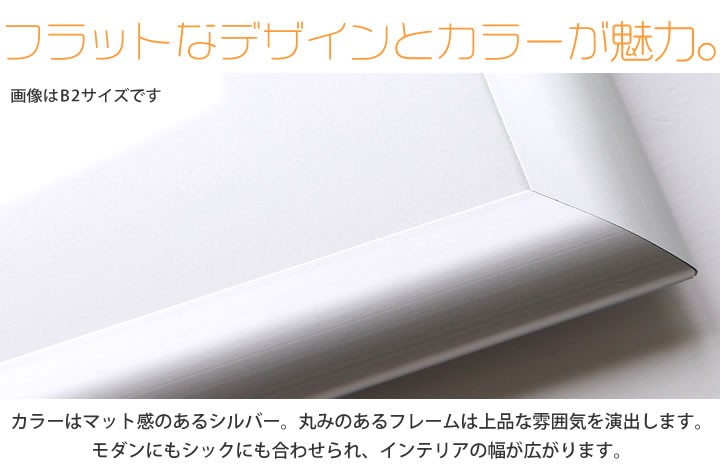 A2サイズ 420×594mm 額縁 ポスターフレーム パネル 曲面がきれいな