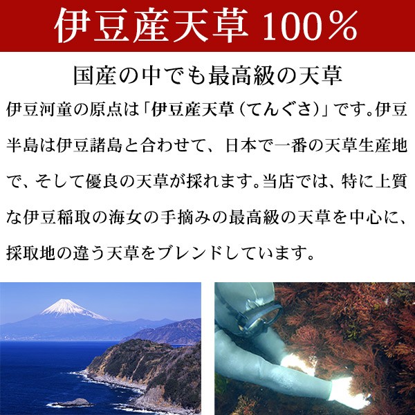 伊豆天草100%