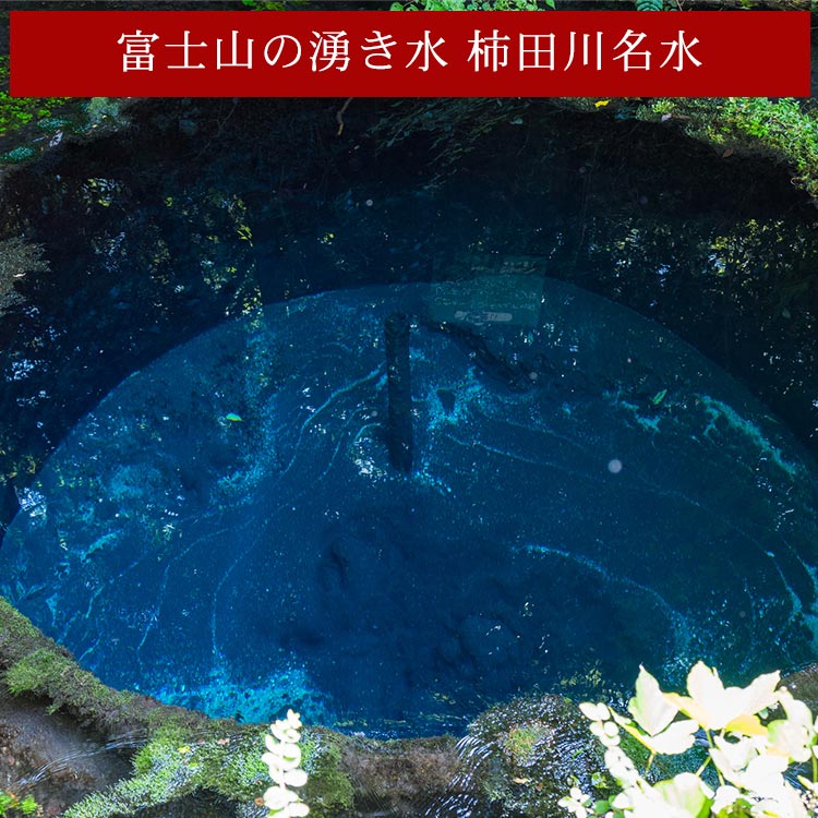 富士山の湧水　柿田川名水