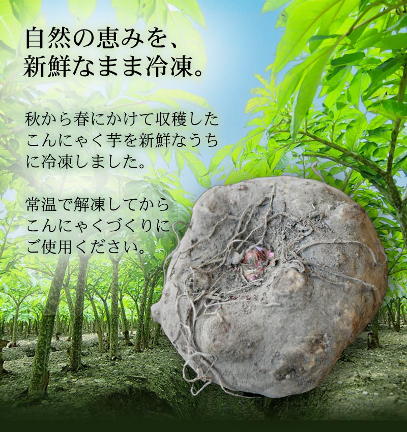 生芋こんにゃく、季節限定です