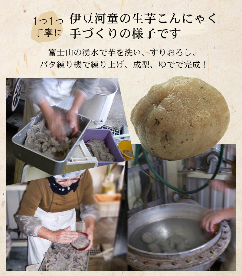 こんにゃく芋 20キロ 国産 新物 令和7年度秋収穫 みやままさり 仕入