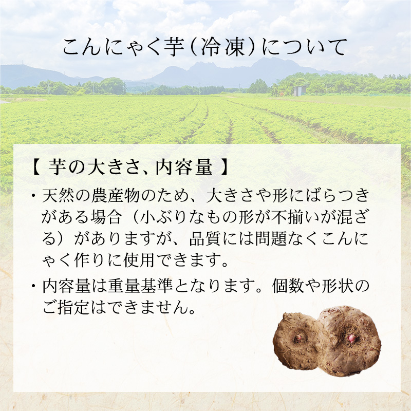こんにゃく芋の大きさ