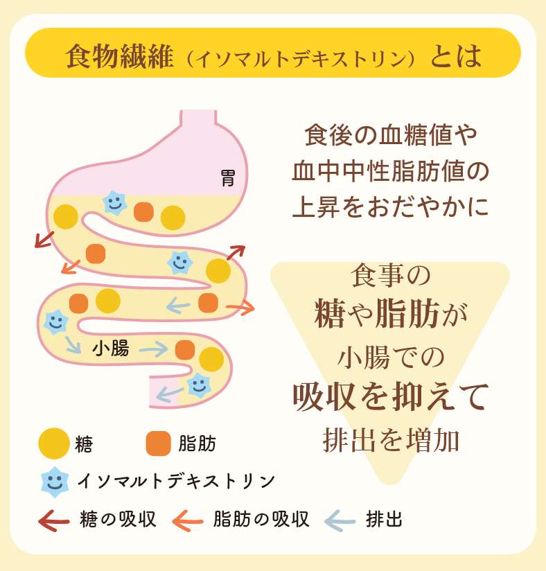 食物繊維イソマルトデキストリンが食事の糖や脂肪が小腸で吸収されるのを抑えます