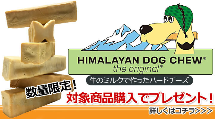 ヒマラヤンドッグチューオリジナル 1円プレゼント